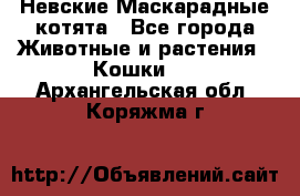 Невские Маскарадные котята - Все города Животные и растения » Кошки   . Архангельская обл.,Коряжма г.